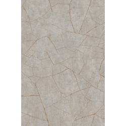 Porcelain gold grey