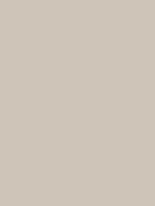 Wt335 stlg light grey u708 a3 10de fur ss 2