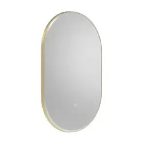 Xgm50p br.jpg
