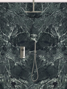 Tog sqr hchk bn ted shower kit 2 outlet round hand shower nickel