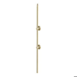 V22gold v22 gold 1